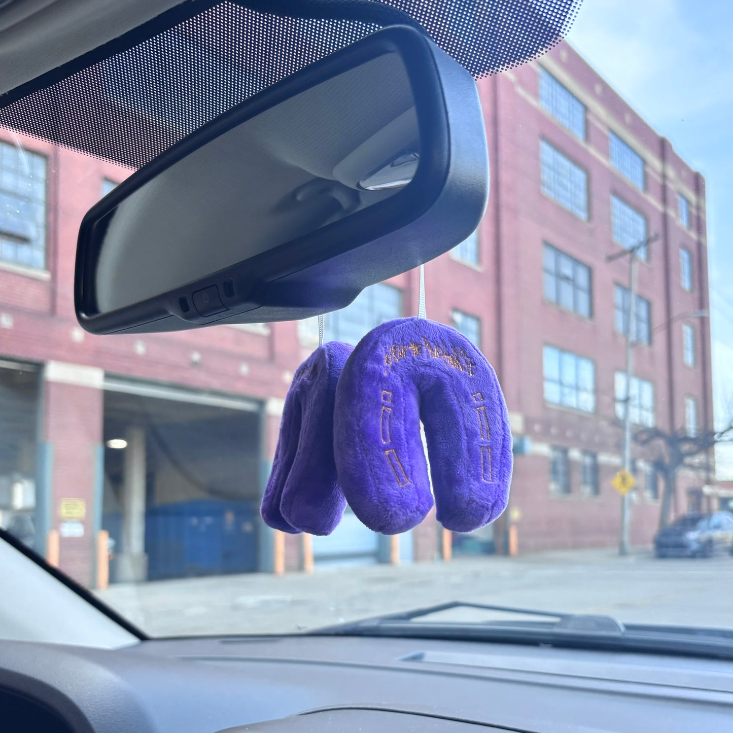 Fuzzy Horseshoes