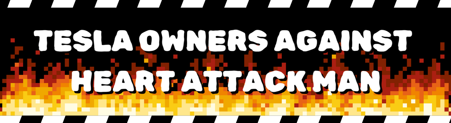 Tesla Owners AGAINST HAM Bumper Sticker